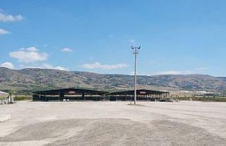Hayvan pazarı boş kaldı