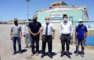 Hayvan pazarında korona virüs tedbirleri