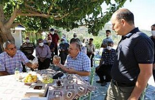 İncirde 7 bin ton rekolte bekleniyor