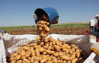 İşçi aracısıydı üretici oldu