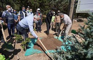 Isparta’da protokol 15 Temmuz Ormanı’na fidan...