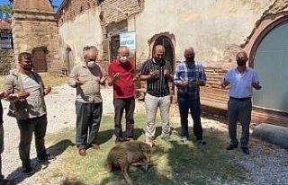 İstanbul Ayasofya için İznik Ayasofya’da kurban...