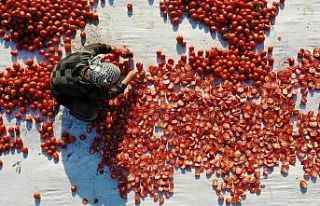 İtalya’nın pizzasına, ABD’nin hamburgerine...