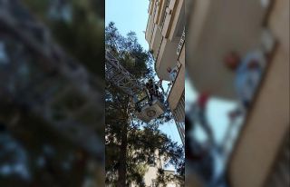İtfaiyeden kedi kurtarma operasyonu