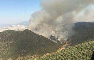 İzmir’de büyük orman yangını