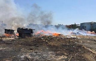 İzmir’de korkutan otluk alan yangını