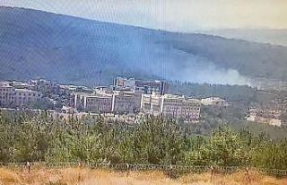 İzmir’de ormanlık alanda yangın paniği