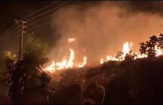 İzmir’de yerleşim yerlerine yakın noktada meydana...