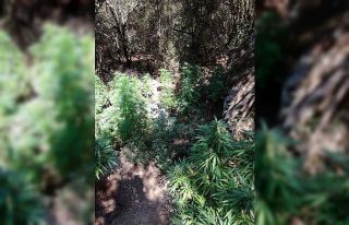 İzmir’in 4 ilçesinde uyuşturucu operasyonu: 4...