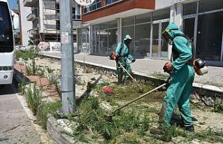 İzmit sokaklarında, yabani ot temizliği sürüyor