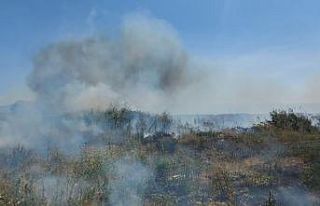 İznik Gölü’ndeki sazlık yangını giderek büyüyor