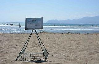 İztuzu’nda yuva rekor sayıya ulaştı