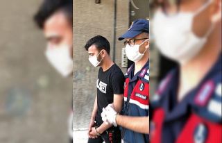 Jandarmadan HTŞ operasyonu: 1 gözaltı