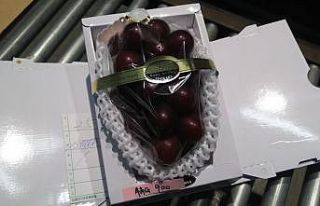 Japonya’da bir salkım üzüme rekor fiyat