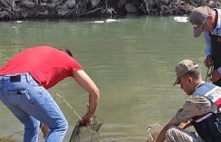 Kaçak balık avcılarına 7 bin lira ceza