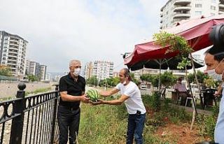 Kafe Kütüphanede karpuz hasadı