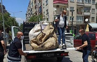 Kağıt toplayıcılarına pandemi uyarısı