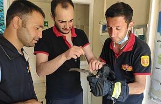 Kanatlarına uçurtma ipi dolanan ebabil kuşu kurtarıldı