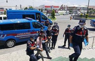 Karaman’da küçükbaş hayvan çaldıkları ileri...