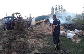 Kars’ta tonlarca ot kül oldu