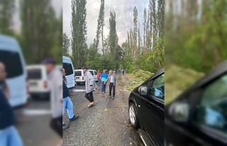 Kasırga onlarca ağacı kökünden söktü