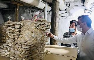 Kaymakam Solmaz mantar üreticileriyle buluştu