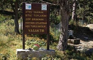 Kazdağı Milli Parkı’nda büyük tehlike