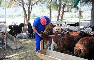 Kemer’de bayram denetimleri sürüyor