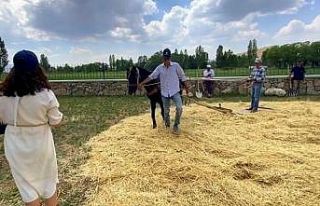 Kenan Yavuz Etnoğrafya Müzesi’nde “Harman Şenliği”...