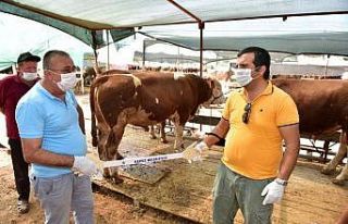 Kepez’den kurban pazarlarına özel ‘Pazarlık...