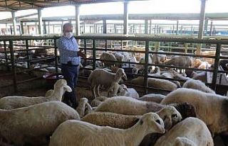 Keskin, hayvan pazarını ziyaret etti