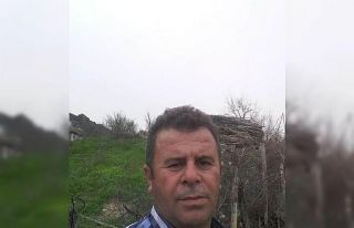 Kestiği ağacın altında kalan şahıs hayatını...