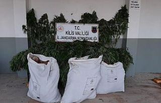 Kilis’te uyuşturucu operasyonu