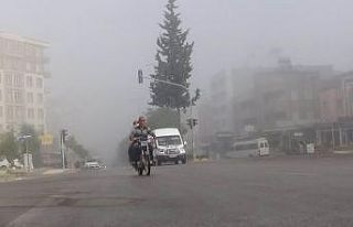 Kilis’te yoğun sis etkili oldu