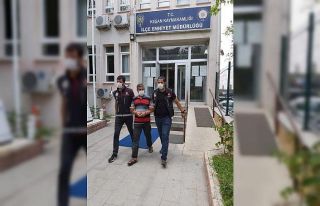 Kilolarca bonzai maddesi ele geçirildi