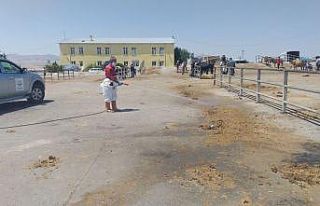 Kırşehir Belediyesi, Kurban Bayramı öncesi denetimleri...
