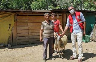 Kızılay’ın çalışmasını görünce koyununu...