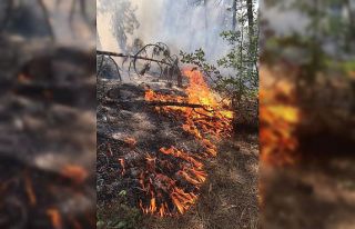 Kızılcahamam’daki Soğuksu Milli Parkı’nda...