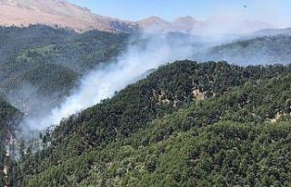 Kızıldağ’daki orman yangını kontrol altına...