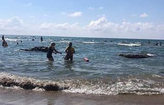 Kocaeli sahillerinde 2 günde 188 kişi boğulmaktan...