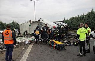 Kocaeli TEM Otoyolu’nda balık yüklü tır devrildi:...