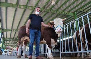 Kocaeli’de kurban pazarları sakin olmasına rağmen...