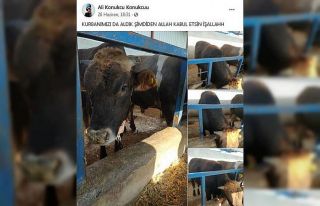 Konya’ya şehit ateşi düştü