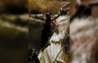 Köpek yavrularını itfaiye ekipleri kurtardı