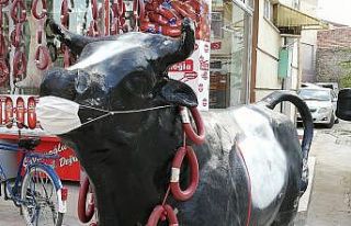 Korona virüse dikkat çekmek amacıyla boğa maketine...