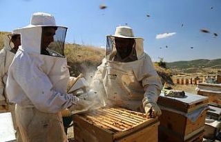 Köy hayatını seçti, markalaşan hobisi ile Avrupa’ya...