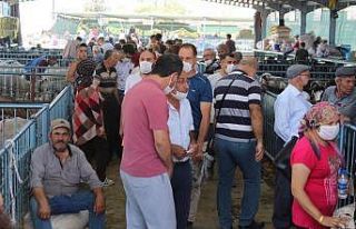 Kurban pazarında arife bereketi