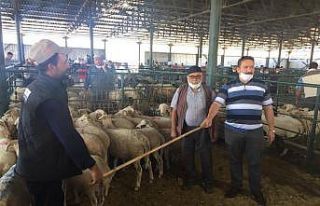 Kurban pazarında Covid-19 etkisi