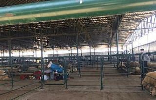 Kurban pazarında sessizlik