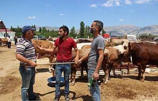 Kurban pazarlığında ’sopalı’ pazarlık dönemi